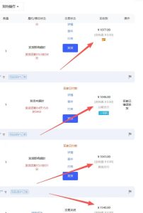 【超强副业】淘宝超高价女装项目：1单賺1k+，可工作室放大（共52节）-乌龙学社