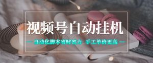 视频号自动挂G项目,自动化脚本省时省力,手工单价更高,日入300+全网最稳【揭秘】-乌龙学社