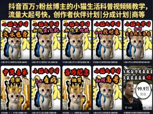 抖音百万粉丝博主的小猫生活科普视频教学,流量大起号快,创作者伙伴计划|分成计划|商单|收徒等-乌龙学社