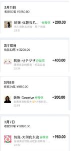 宠物托运阳光赛道賺钱教学,小众高刚需冷门项目,日均10单稳定盈利,单均利润200+-乌龙学社